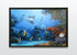 black wood framed original painting great barrier reef coral trout wall art print